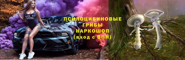 spice Кукмор